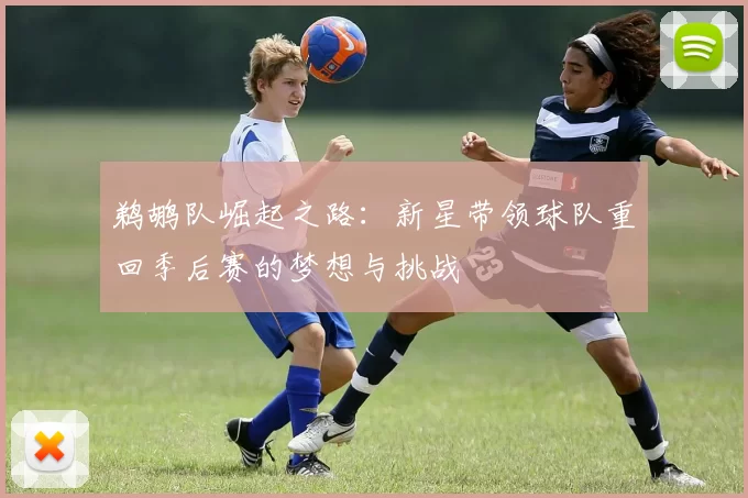 鹈鹕队崛起之路：新星带领球队重回季后赛的梦想与挑战