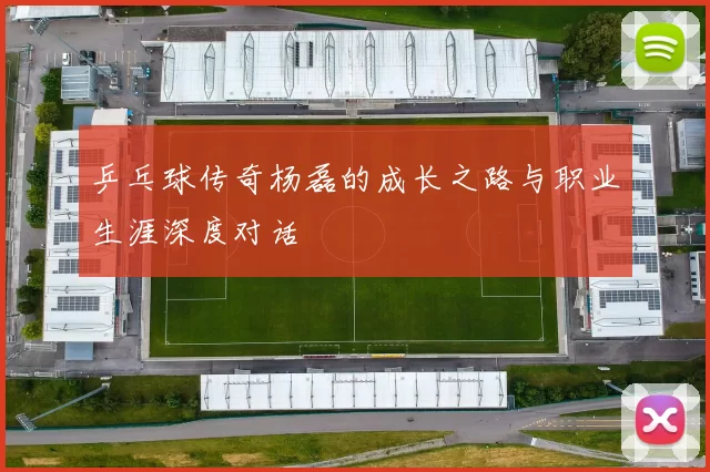 乒乓球传奇杨磊的成长之路与职业生涯深度对话