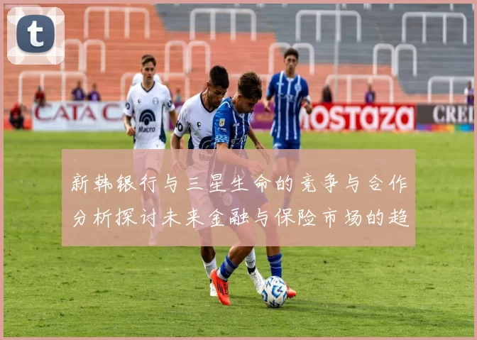 新韩银行与三星生命的竞争与合作分析探讨未来金融与保险市场的趋势与挑战