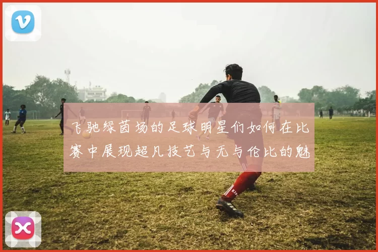 飞驰绿茵场的足球明星们如何在比赛中展现超凡技艺与无与伦比的魅力