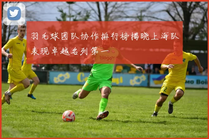 羽毛球团队协作排行榜揭晓上海队表现卓越名列第一