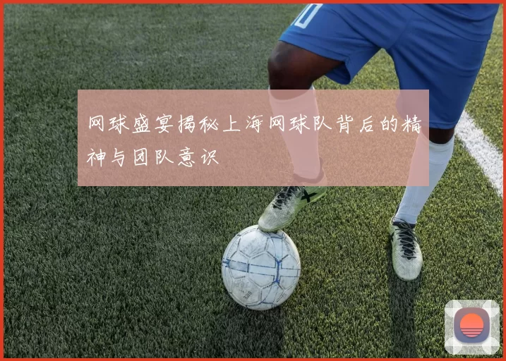网球盛宴揭秘上海网球队背后的精神与团队意识