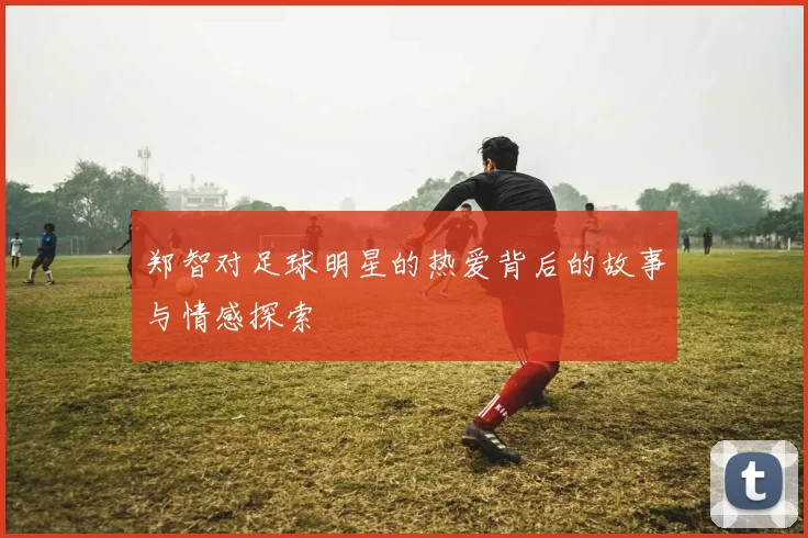 郑智对足球明星的热爱背后的故事与情感探索