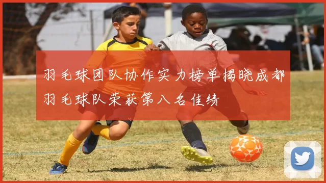 羽毛球团队协作实力榜单揭晓成都羽毛球队荣获第八名佳绩