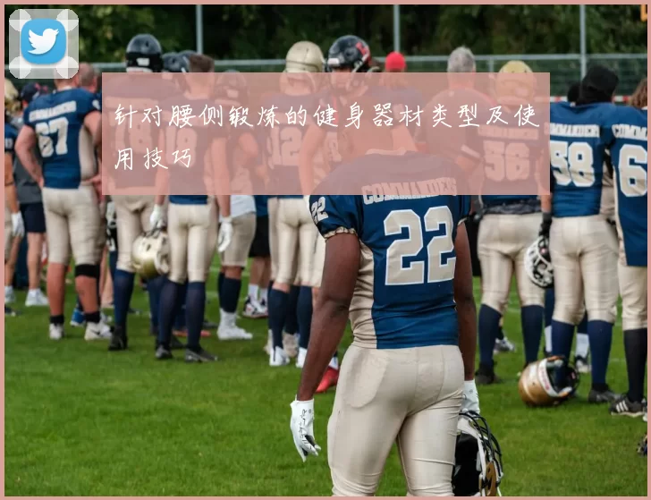 针对腰侧锻炼的健身器材类型及使用技巧