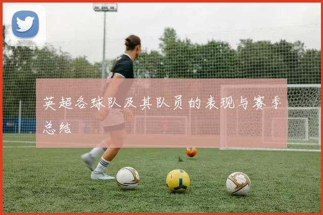 英超各球队及其队员的表现与赛季总结