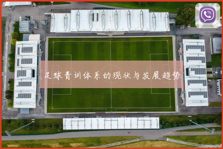 足球青训体系的现状与发展趋势